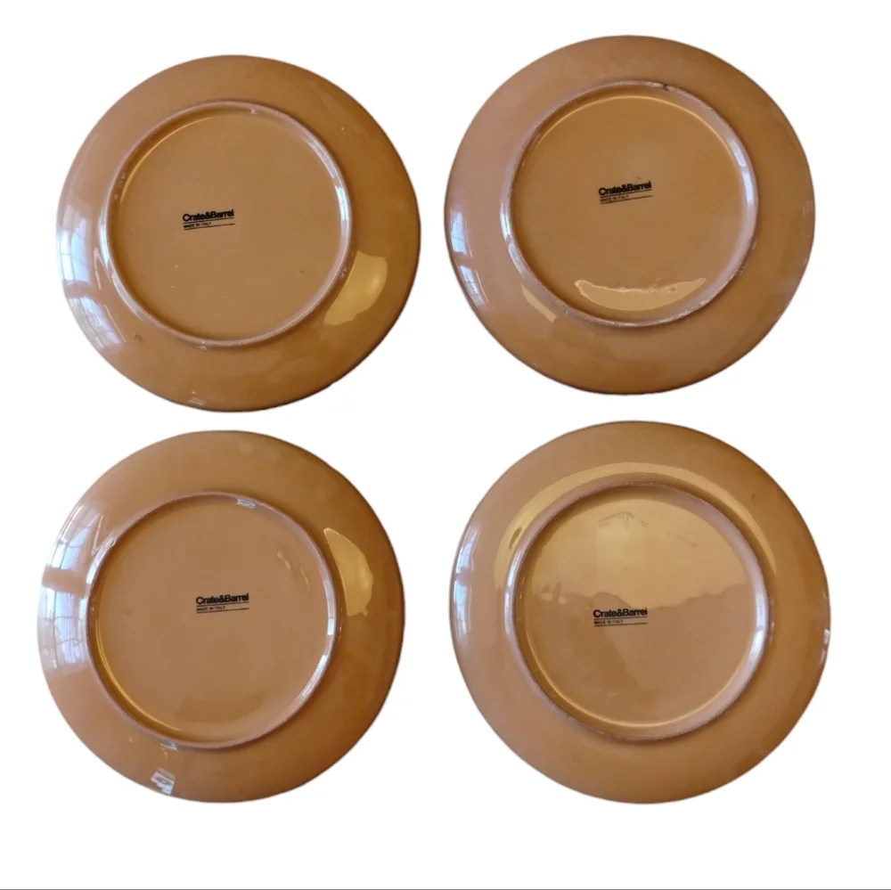 Crate&Barrel Plates Appetizer Olive Made in Italy 7